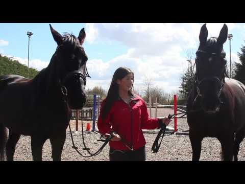 Blue Chip All Star Audition - Issy Nami