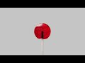 TRAVIS SCOTT BAD BUNNY THE WEEKND K POP S L O W E D R E V E R B