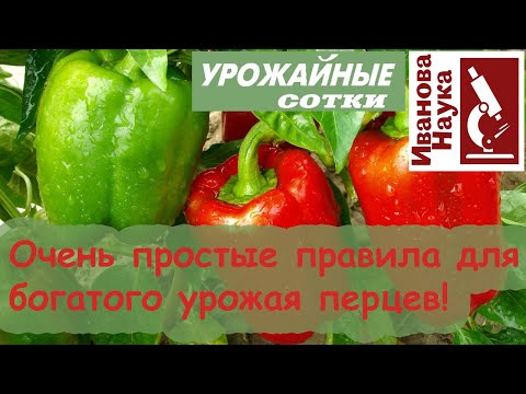 17 мгновений... для ОГРОМНОГО урожая перца! Простые и короткие правила, доступные каждому.