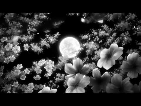 30 Rack (feat. Rittz)