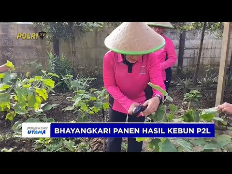 BHAYANGKARI CABANG SATUAN BRIMOB POLDA JAMBI DUKUNG KETAHANAN PANGAN MELALUI P2L