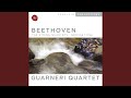 String Quartet No. 3 in D Major, Op. 18, No. 3: I. Allegro