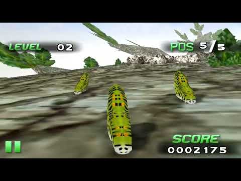 Insect Race