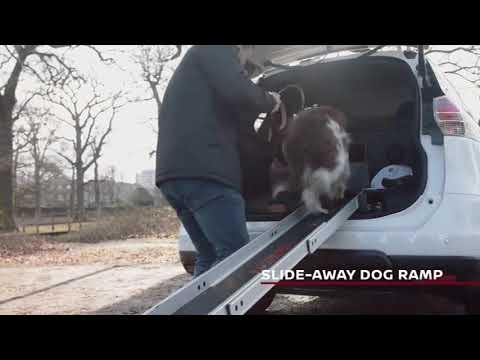 Nissan X-Trail Dog Concept