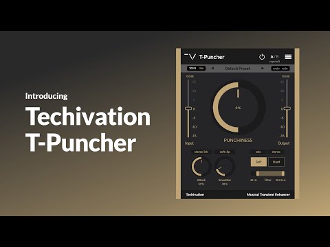 Free Download T-Puncher v1.1.0 AAX VST2 VST3 x64 WiN-R2R