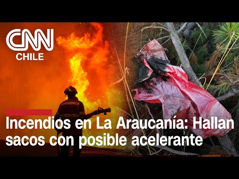 Ya suman 27 detenidos por presunta participación por incendios forestales en La Araucanía