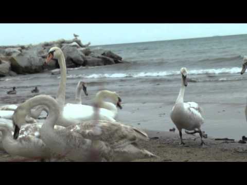 Vašo Patejdl - Voda čo ma drží nad vodou (vianočný koncert)