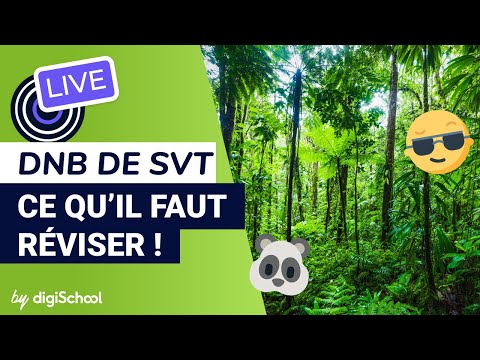 SVT : que faut-il connaître pour le brevet