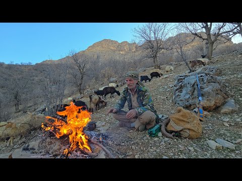🐐Nomadic life in the heart of Zagros: Adventure with a flock of sheep in the mountains