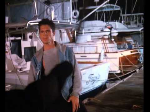 American Ninja V-David Bradley vs Ninjas