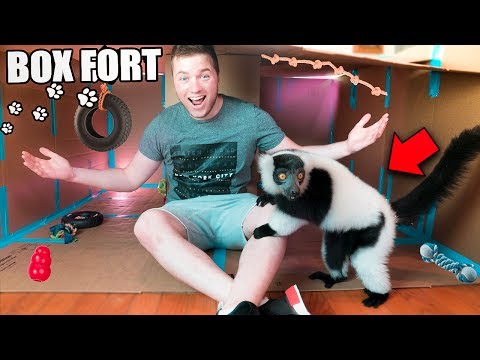 BOX FORT ZOO CHALLENGE! 🐒 W/ LARRY THE LEMUR Video