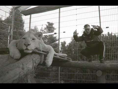 KUBAŃCZYK - MŁODY KOT