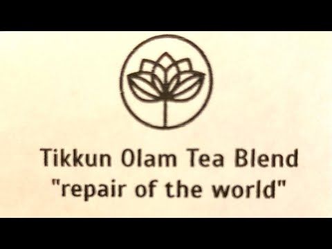 Viridian Tea House - Rebecca Makkai and Ethan Hawke
