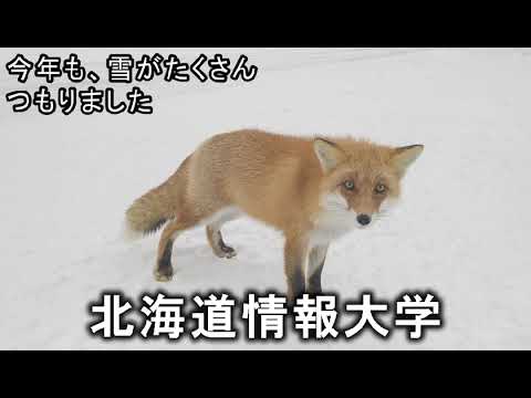 情報メディア学科 ＜2024年2月号＞HIUキャンパス便り