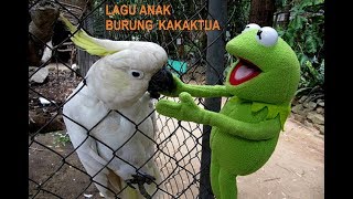 Download lagu Lagu Anak Burung Kakak Tua Lagu Anak Hits mp3
