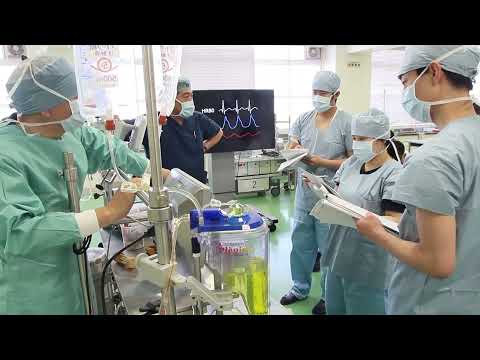 【純真学園大学】医療工学科　「生体機能代行装置学実習」学内実習風景【医療工学科】