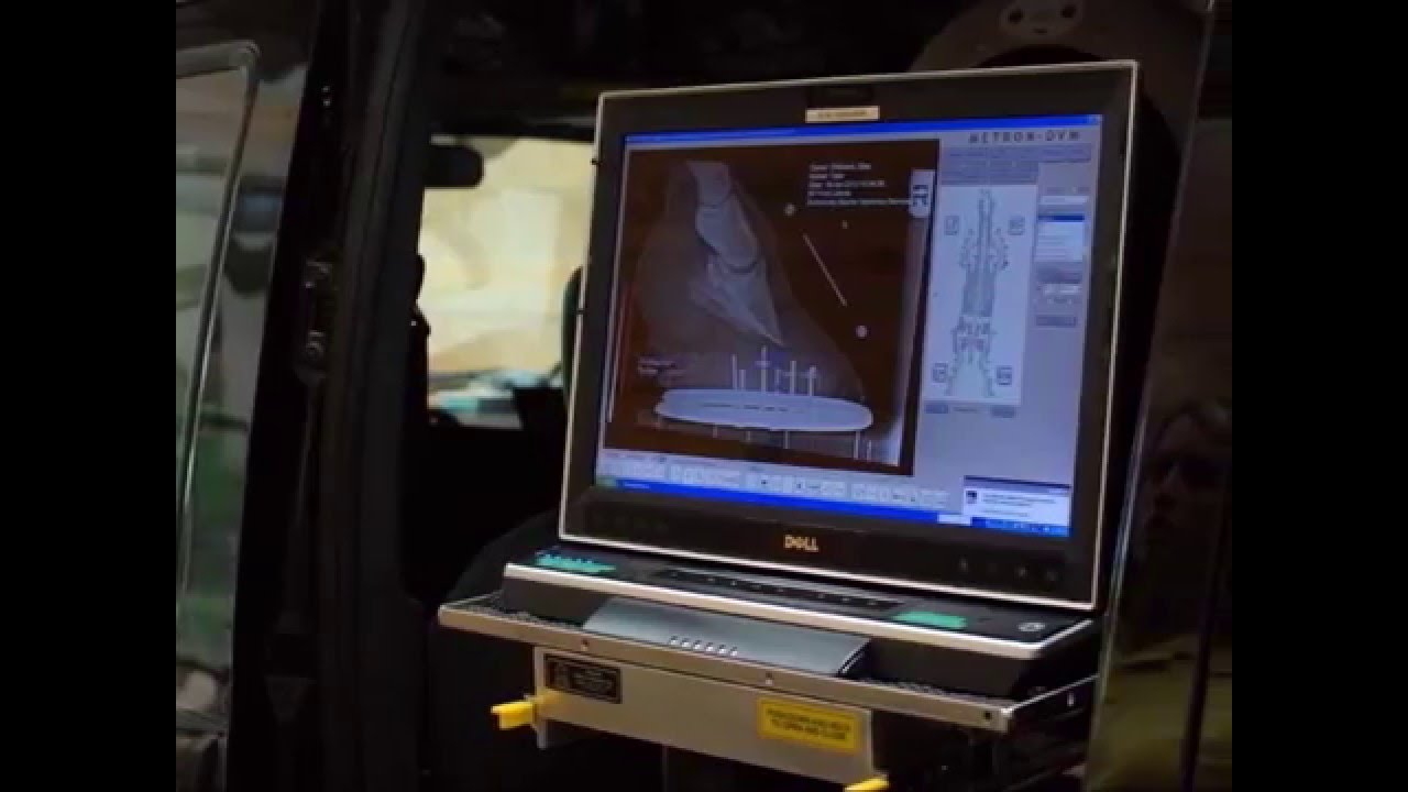 Exclusively Equine Veterinary Services About Us