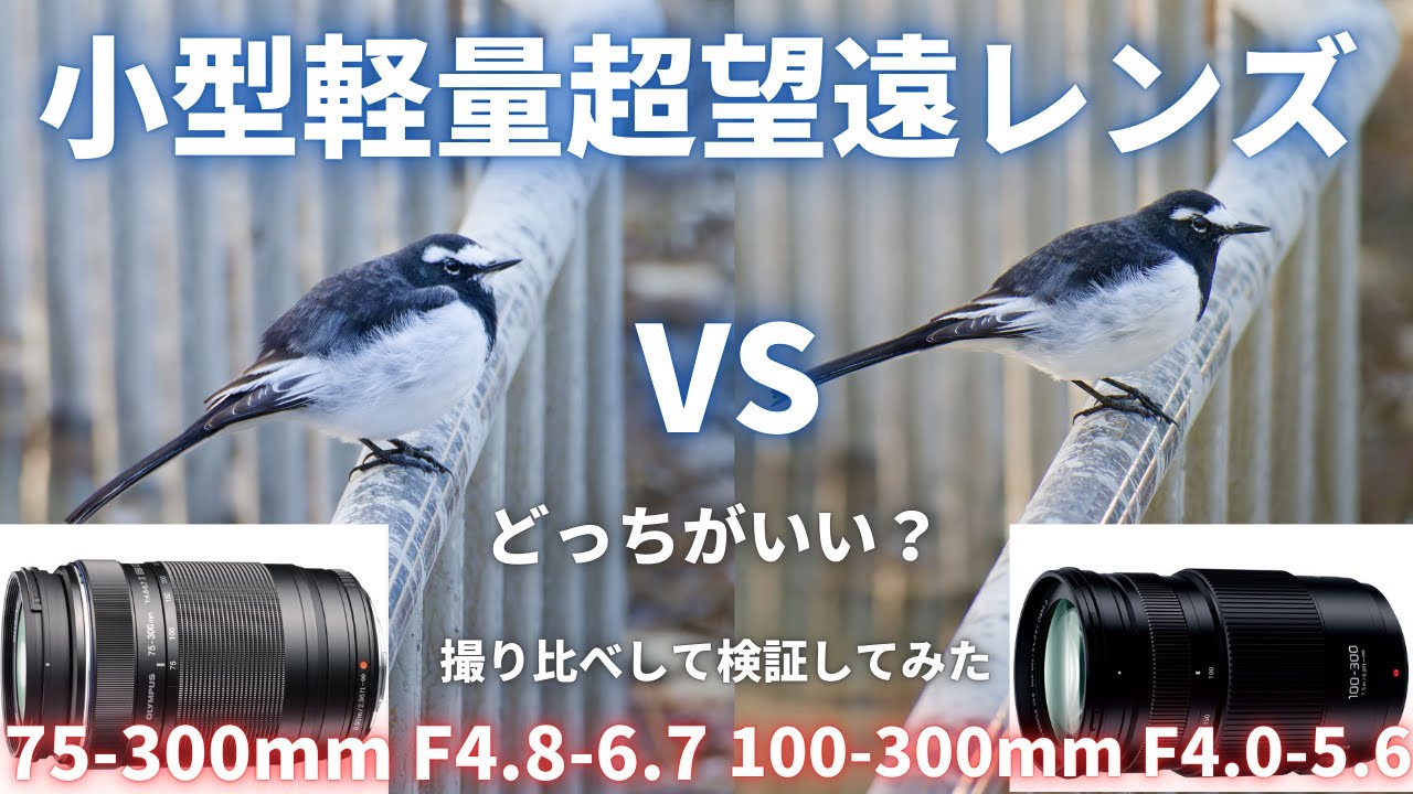 【比較検証】マイクロフォーサーズ小型軽量超望遠レンズ対決 75-300mm II vs 100-300mm II【OM SYSTEM】【Panasonic】【LUMIX】