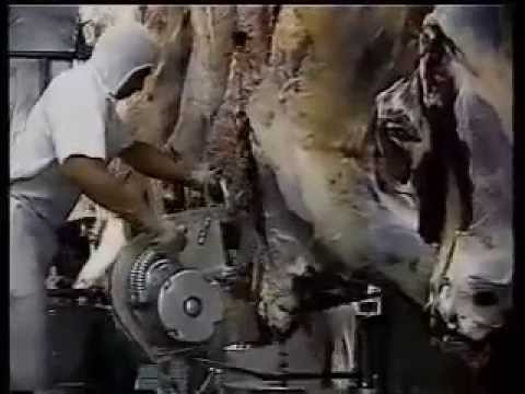 Electric Bull Splitting Saw | BM V S