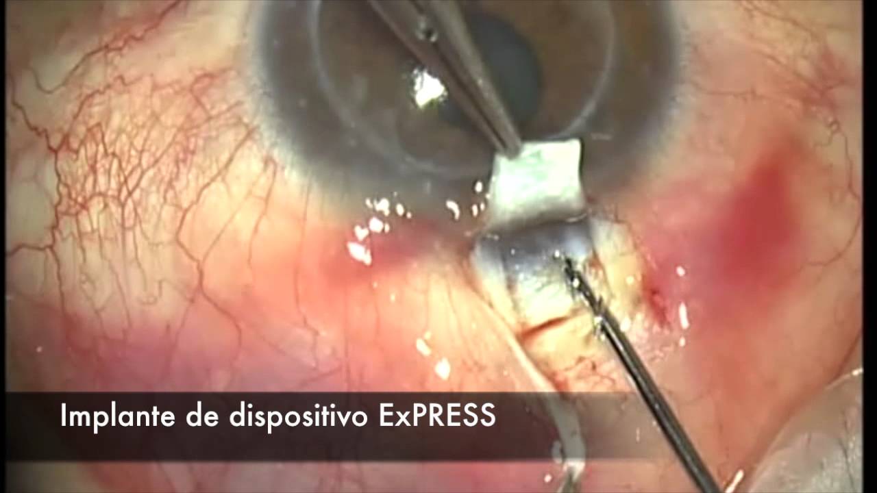 María Luisa Zavala Aznar-24