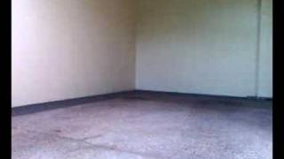 Grown Apart by Lisa Shaw