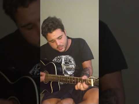 Ipê Florido video