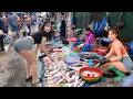 Morning Market in Phnom Penh 🇰🇭 Fresh Fish, Meat & Vegetables Daily