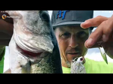 Play Video Youtube Video