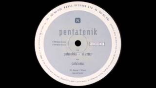 Pentatonik - Petrushka