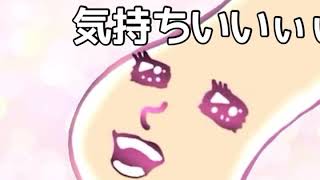 かかとちゃんぴっかーん