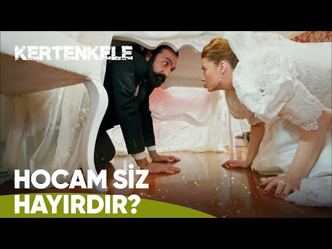 Düğün masasının altında... -  Kertenkele 22. Bölüm