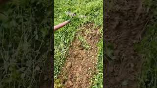 Download lagu Alat Pertanian Kreatif dan Sederhana mp3 Download lagu Alat Pertanian Kreatif dan Sederhana mp3