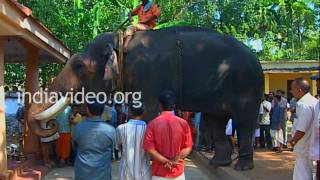 Honouring Guruvayoor Padmanabhan