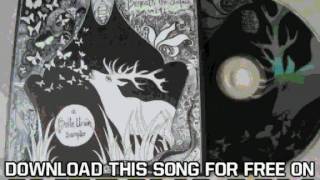 The Acorn Beneath The Surface Vol  24 A Bella Union Sampler Crooked Legs