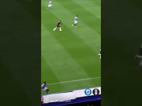 Un but complètement 🤯🤯 pour #Mitrovic ! #Football #Goal #Championship