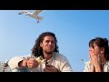 Seagull Attack Comical Beach Day Surprise Caught On Camera WooGlobe