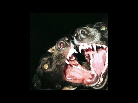 [FREE] Rock x Punk x Grunge Type Beat - ‘HYDRANT’