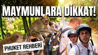 Phuket'te MUTLAKA Görmeniz Gereken Yerler ★ Maymunlara Dikkat!!!
