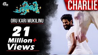 Charlie  Oru Kari Mukilinu Song Video  Dulquer Sal