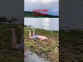 Mud fall to face