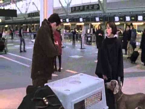 best in show - airport scene.wmv