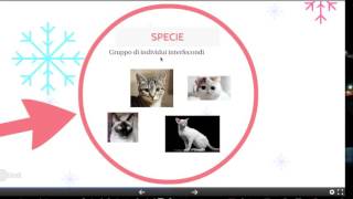 La classificazione degli esseri viventi