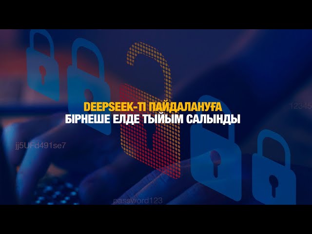DeepSeek-ті пайдалануға бірнеше елде тыйым салынды