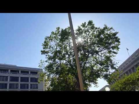 The art institute of California San Francisco