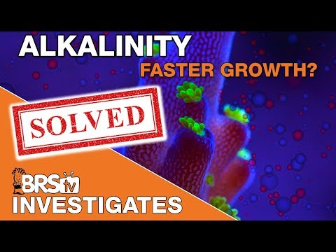 Part I - Faster coral growth with elevated major elements? (Alk/Ca/Mag) | BRStv Investigates
