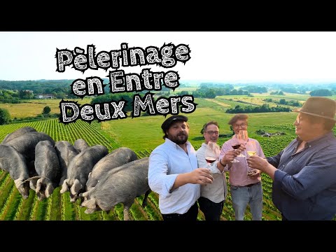 Pilgrimage to Entre-deux-Mers 🍇🍄‍🟫🐷🔥🧀