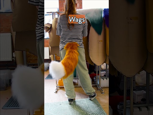 Vídeo relacionado con Dragon Tails Cosplay - Accesorio De Traje De Tela Suave, Sujetador De Cintura Extensible, Acento De Juego De Rol De Criatura Fantástica, Detalle De Traje Temático Ligero | Ropa De Celebración Para U