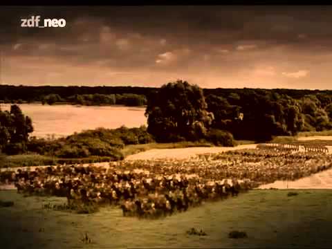 Der Dreißigjährige Krieg  - Doku Deutsch über den  Mythos Wallenstein