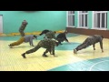 Russian Spetsnaz Training - Cooper Test for Physical Strength and Endurance