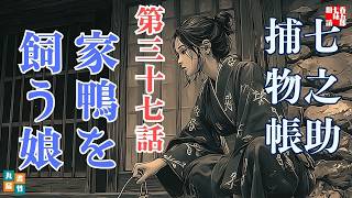 【朗読】毎週火曜夜八時は、七之助捕物帳！　『第三十七巻、家鴨を飼う娘』　納言恭平著　　ナレーター七味春五郎　発行元丸竹書房